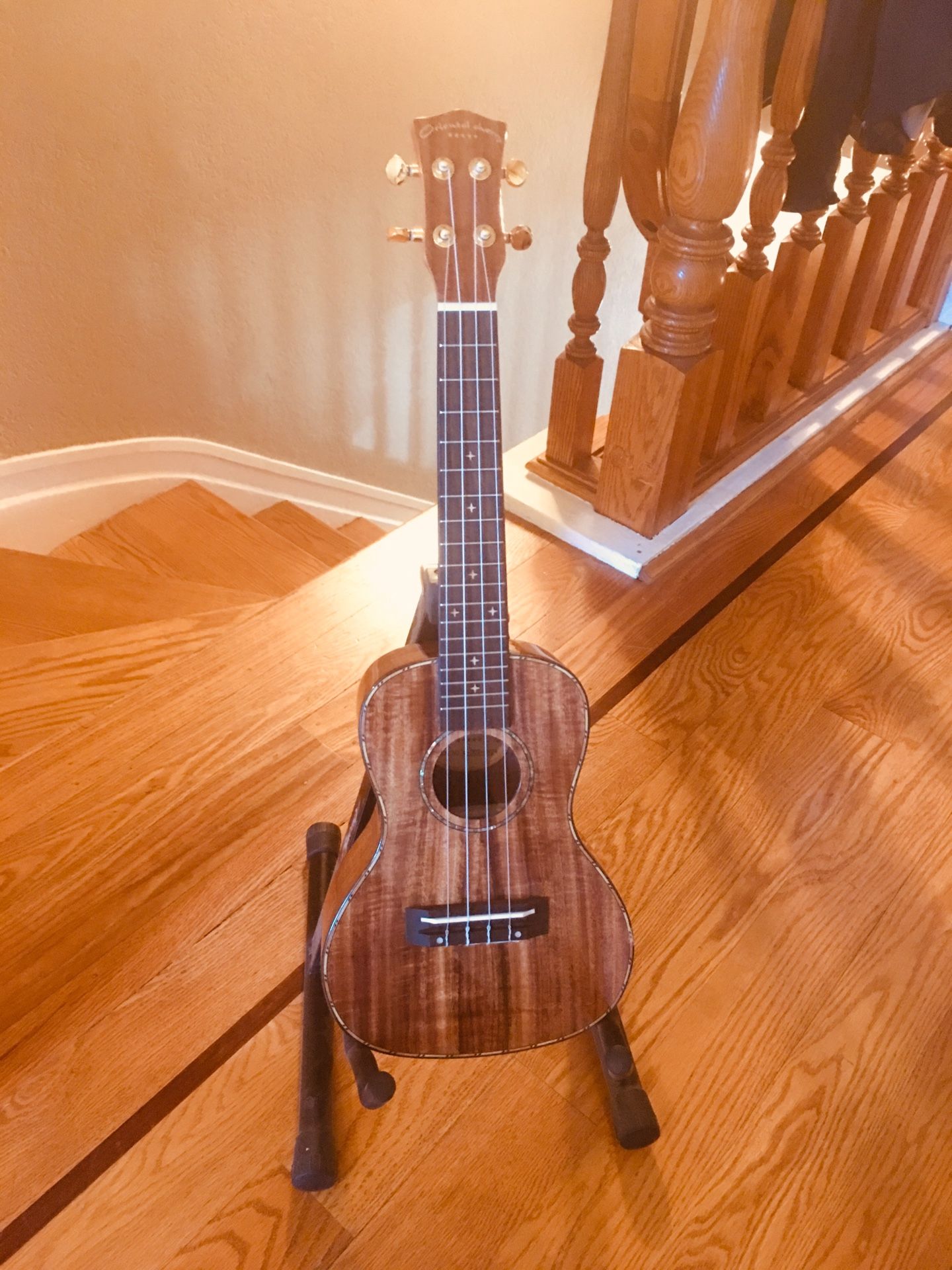 Solid Koa Top Concert Ukulele + Bag