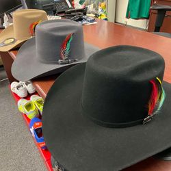 Nuevos modelos De Texanas 