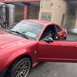 2003 Mustang 