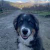 Barclay