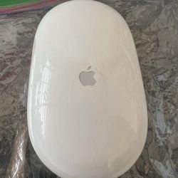 Apple Wireless Mouse