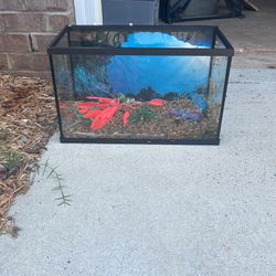 15 Gallon Fish Aquarium for Sale in Haw River, NC - OfferUp