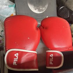 FILA Boxing Gloves