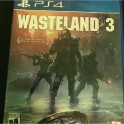 Wasteland 3