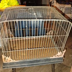 Antique Bird Cage