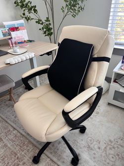 Desk Chair + added Back Support