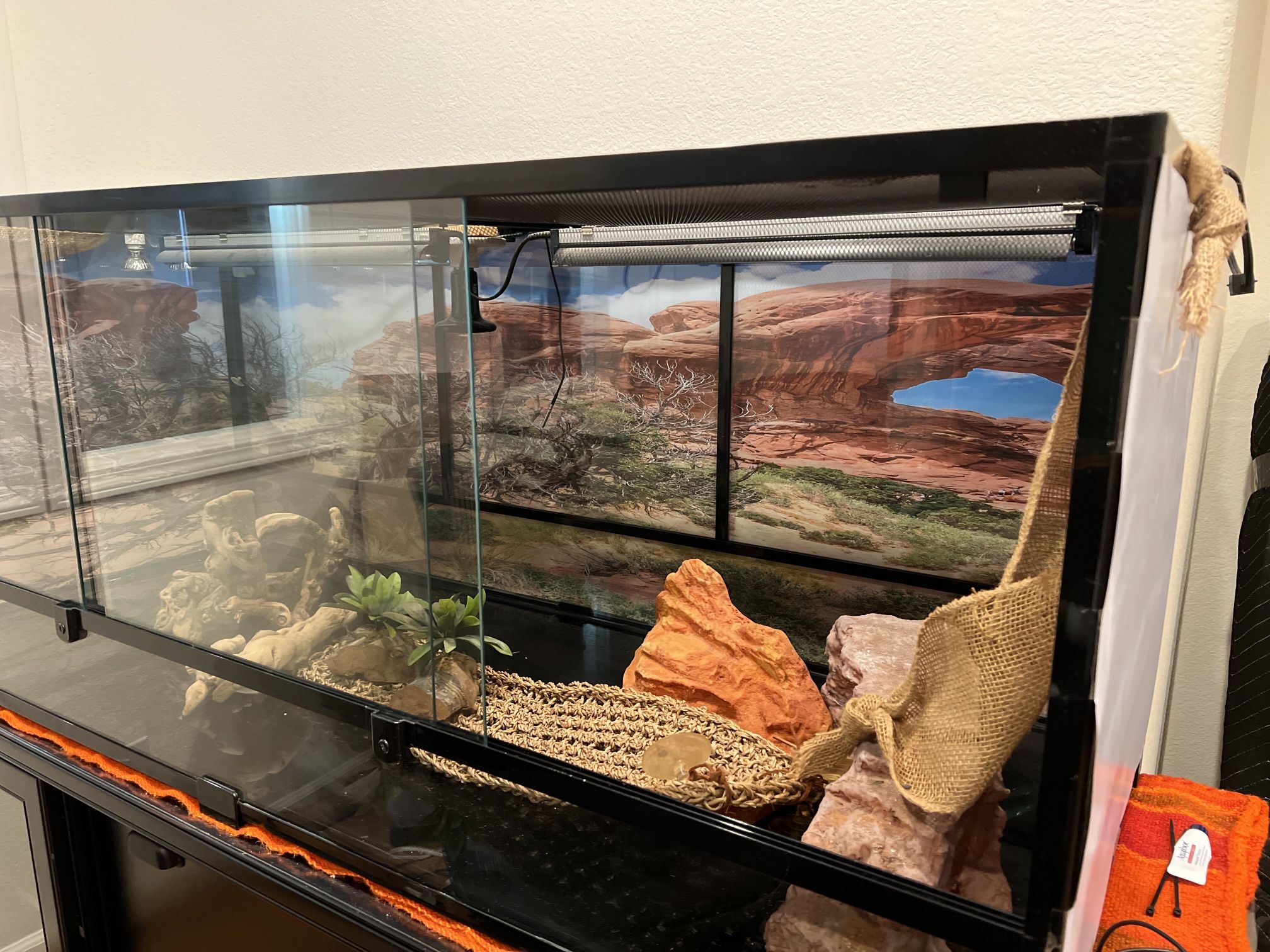 Reptile Enclosure Carolina Custom Cages