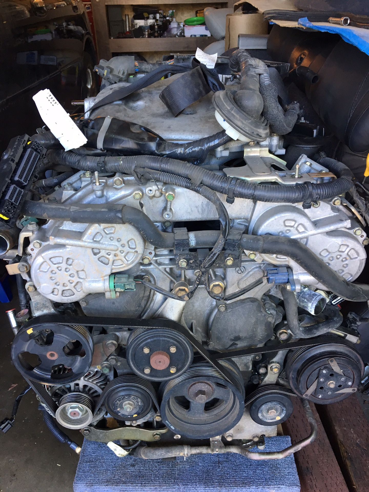 2006 Infiniti g35 rev up engine
