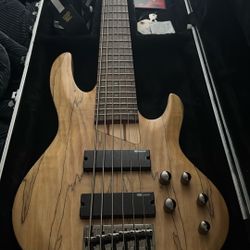 ESP LTD B-206SM Spalted Maple 6-string Bass Guitar