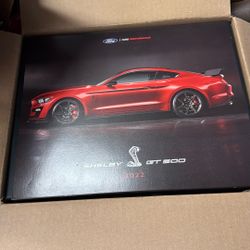 Mustang Shelby Got 500 Car Cover