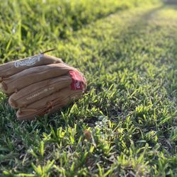 Softball & Baseball Gloves