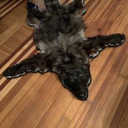 Taxidermy Animal Sale!! MAKE ME SOME OFFERS 