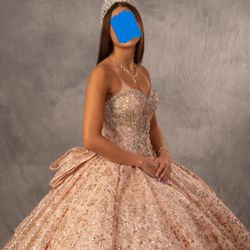 Original Quinceanera Rose Gold Dress + Accessories