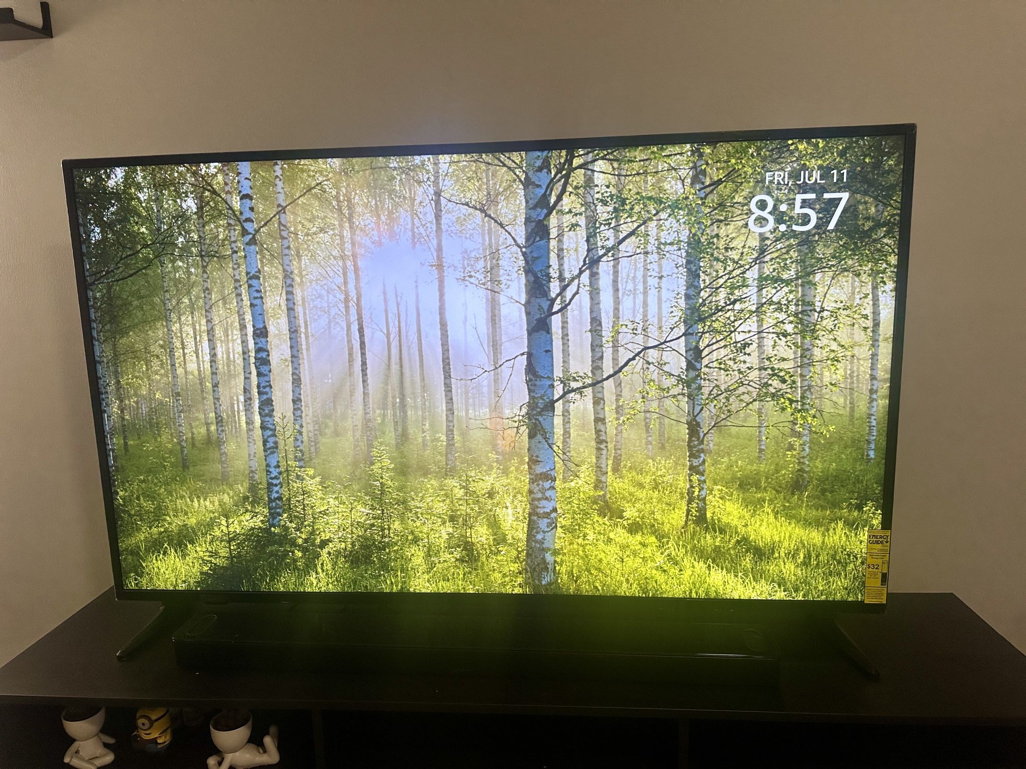 Insignia 65” Fire TV (Model: NS‑65F301NA23) – Great Condition!
