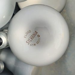 20 BULBS