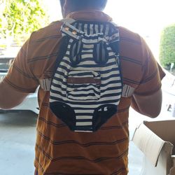 Doggy Carrier