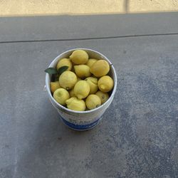 Bucket of lemons