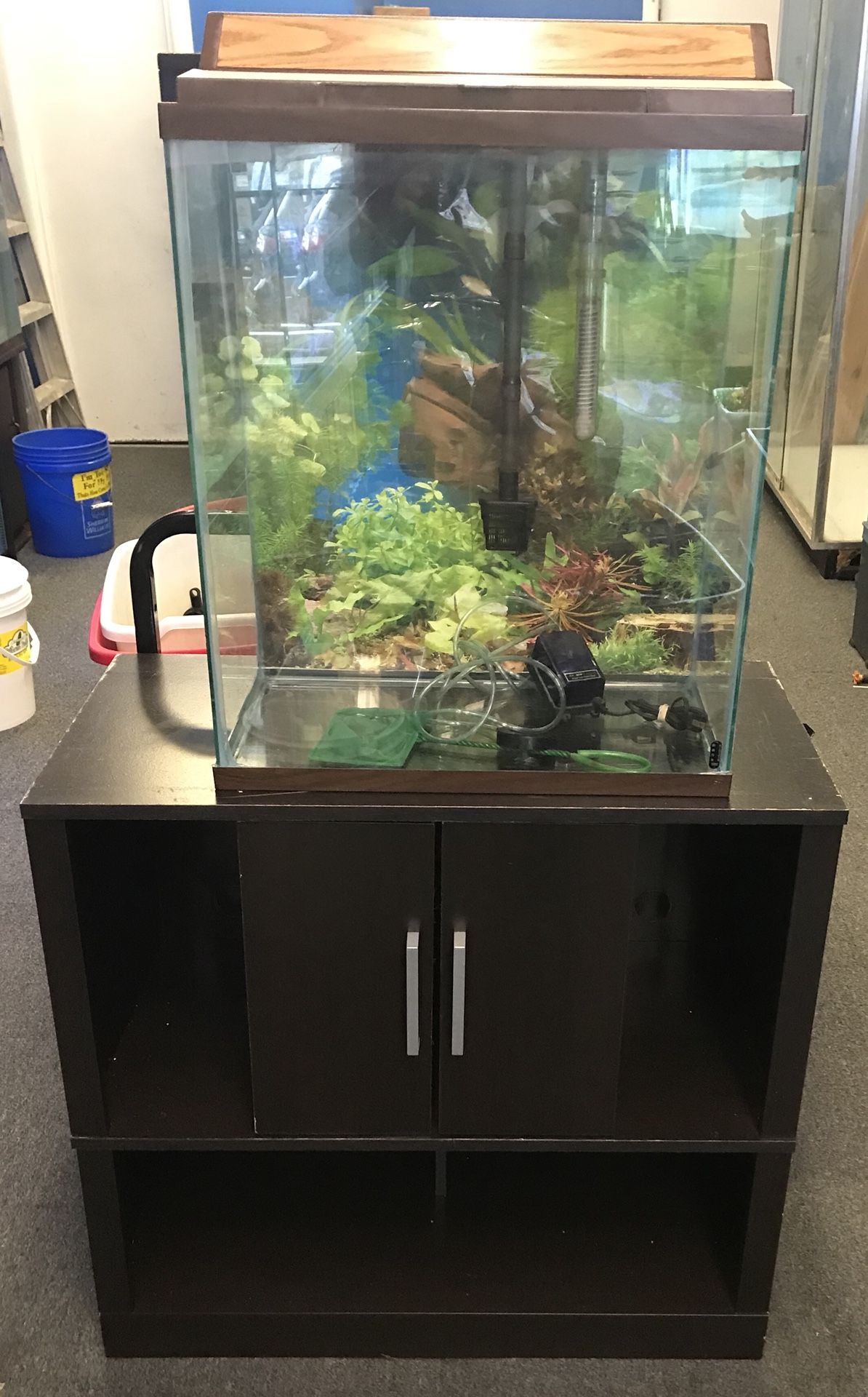 20 gallon Extra High aquarium fish tank complete $100