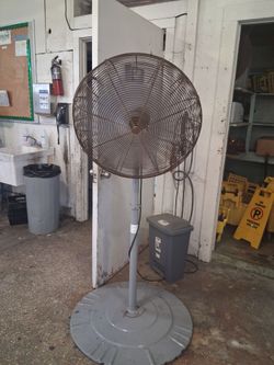Shop fans.
