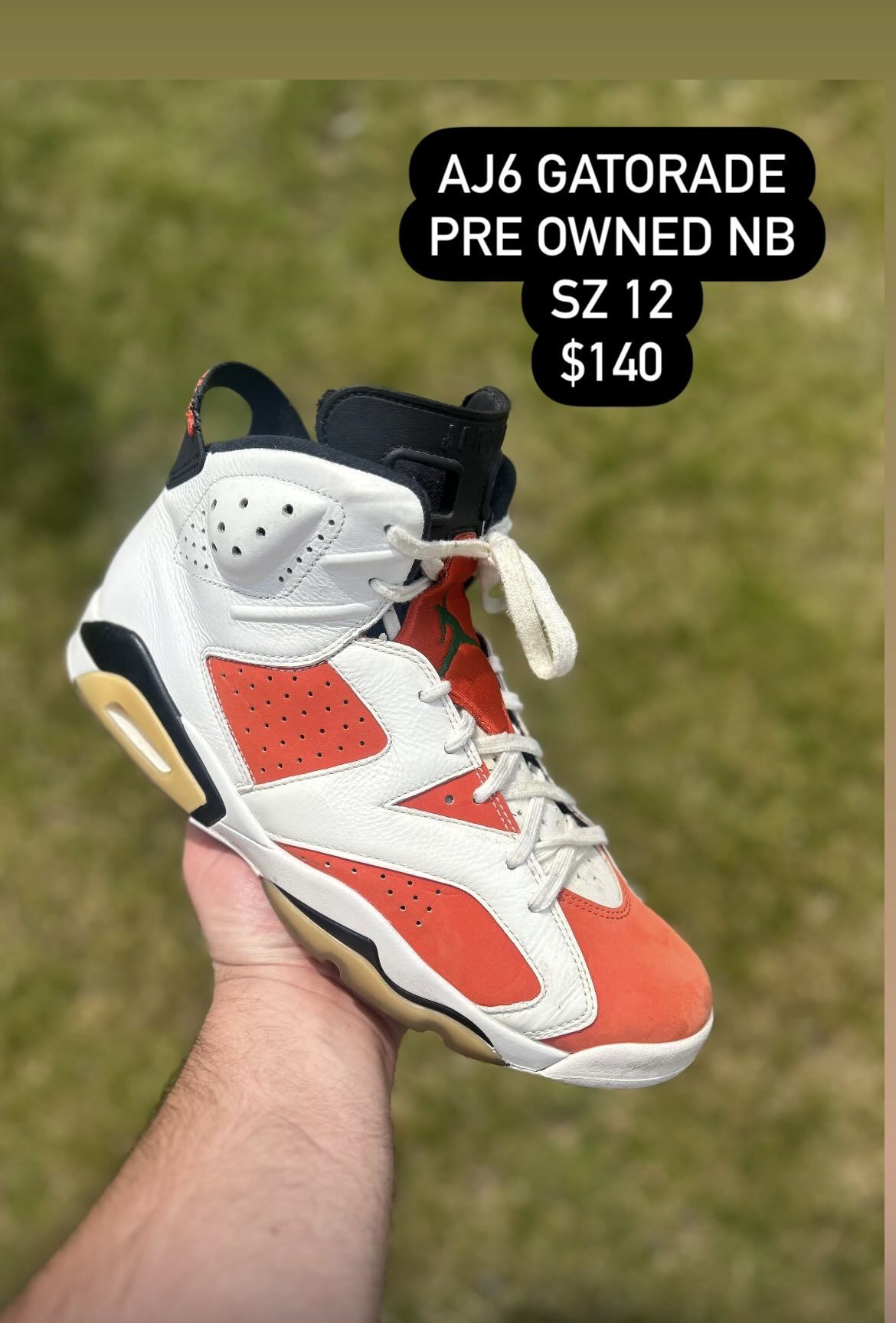 Jordan 6 Gatorade Size 12