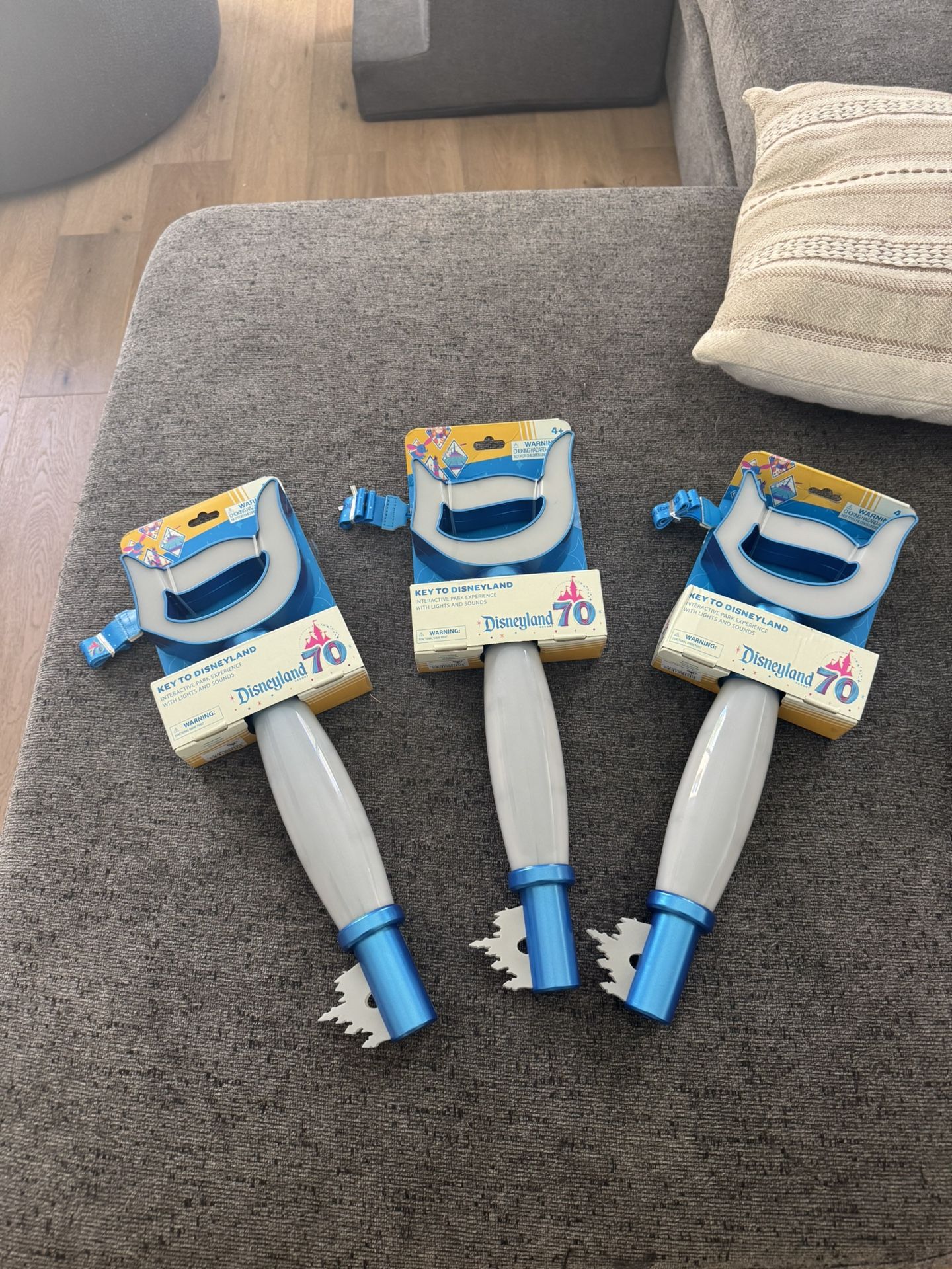 🎉 Disneyland 70th Anniversary “Key to Disneyland” Collectible – Limited Edition 🔑