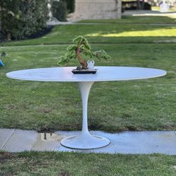 Eero Saarinen Knoll Tulip Style OVAL Table Laminate Top