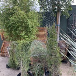 Giraffe Topiary  With Plants 7ft Tall 