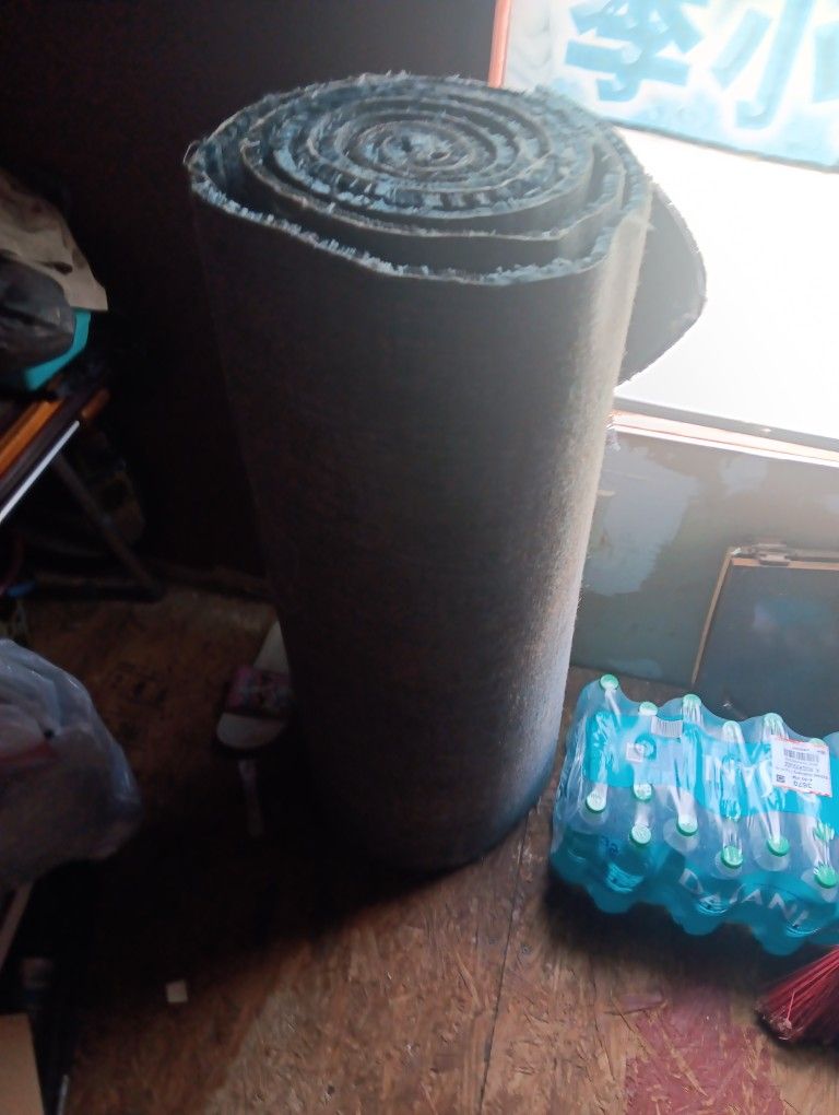 Moving Pick Up Today Brand New Rug 20 Dollars