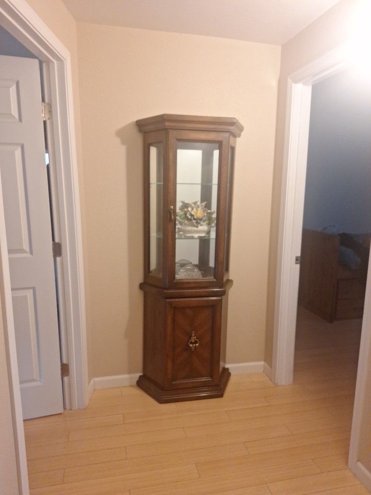 Curio Cabinet With Light