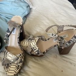 Steve Madden