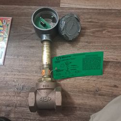 Haws flow switch SP-154