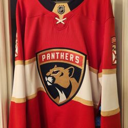 Panthers Jersey Large