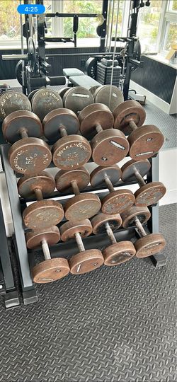 Professional Steel Dumbells