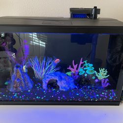 Fish Tank, Glofish, Equipment - Freshwater 10 Gallon for Sale in