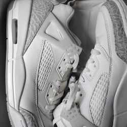 Air Jordan Spizike Men's Sz 11