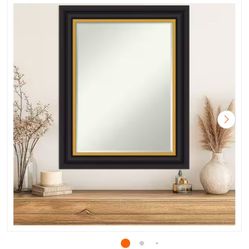 Amanti Art Mirror Black & Gold