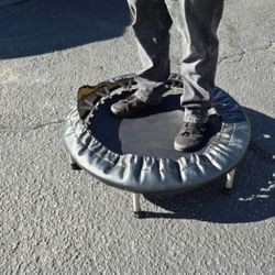 Mini Exercise Trampoline