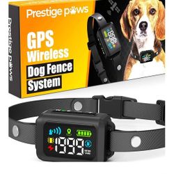 Gps Wireless Dog
