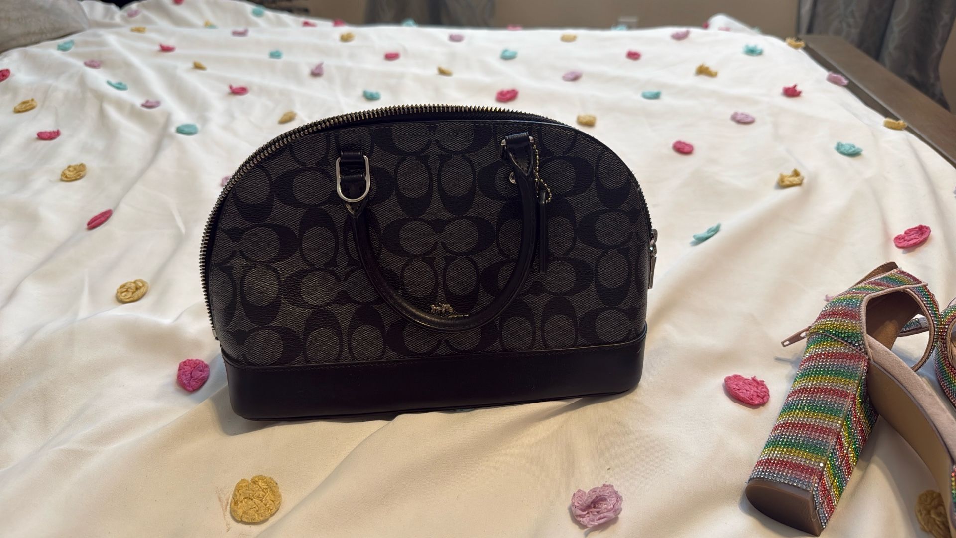 Coach Hand Purse