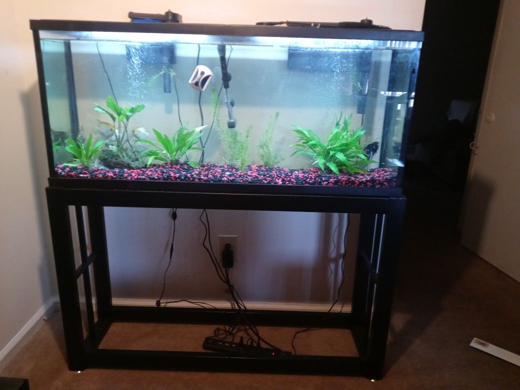 55 Gallon Aquarium and Stand