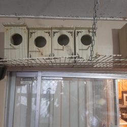 Parakeet Nest