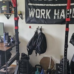 Pullup Bar Squat/Bench Rack With Safety Bars