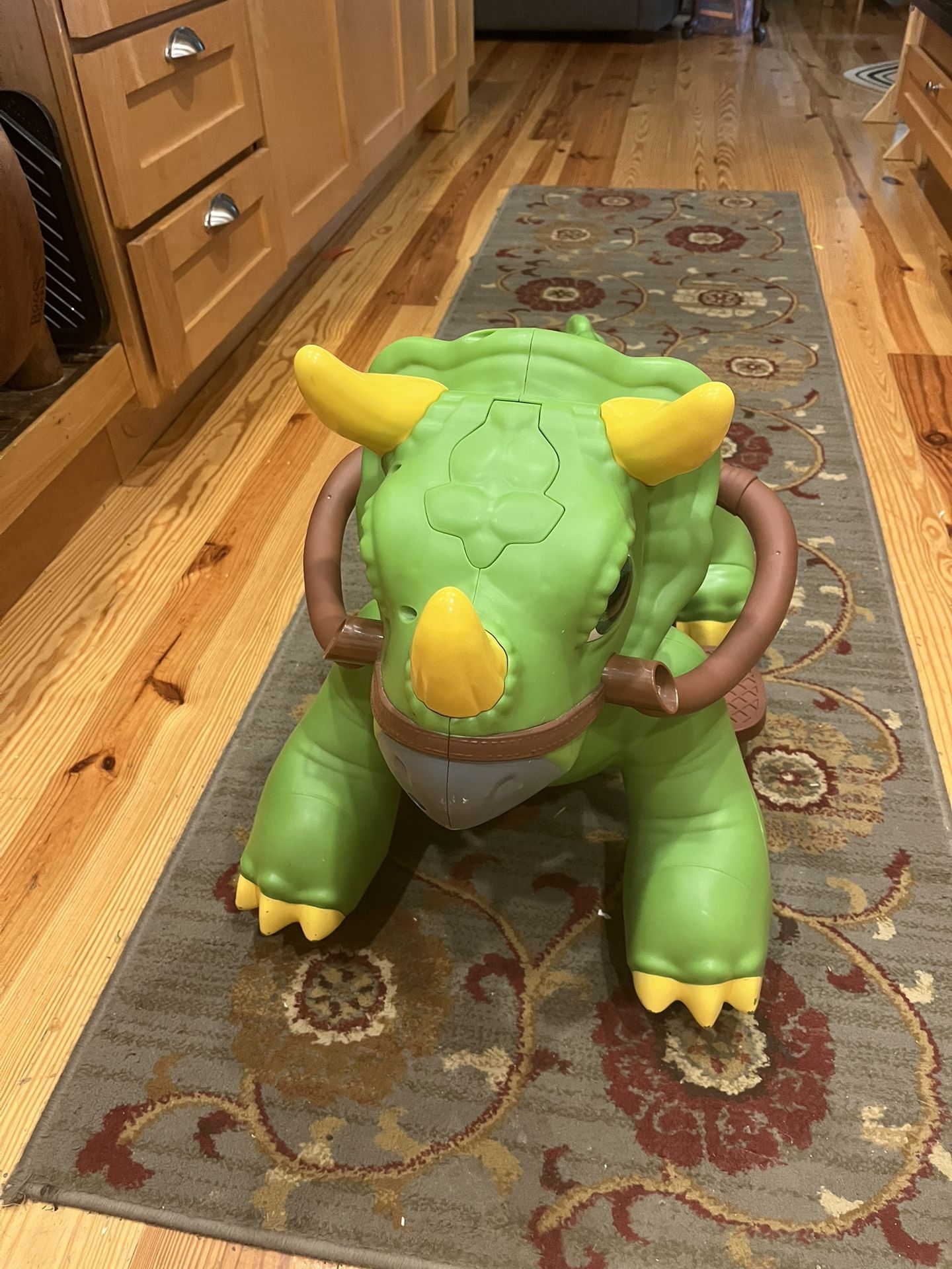 Riding Dinosaur