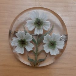 Reverse Carved Lucite Floral Brooch & Earring set