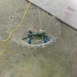 Crab Nets for Sale in Houma, LA - OfferUp