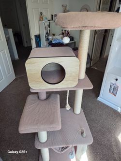 Cat condo