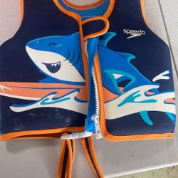 Lifevest