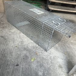 Animal Trap
