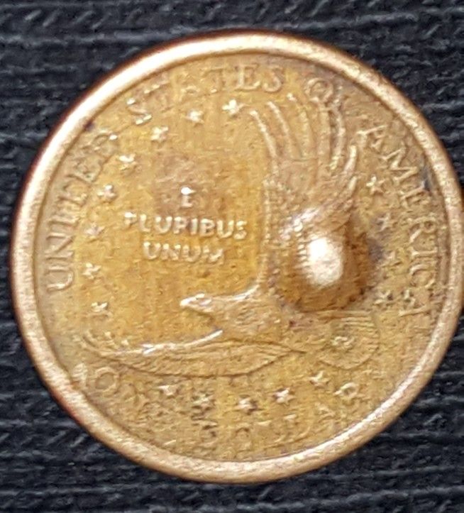 2000 D Liberty Dollar With Detects One Bump On Each Side