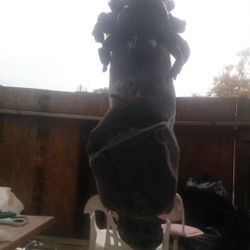 DIY Hanging Zombie With Spider 